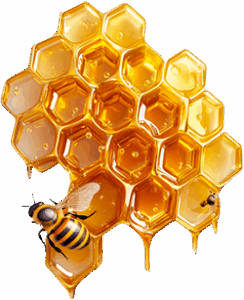 Mes prestations abeille2 244x300